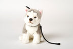 Husky Hund bamse