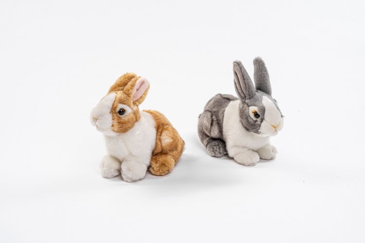 Kanin Bamse  Hovedbillede