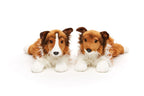 Uni-Toys Langhåret Collie (Rough Collie), liggende 40 cm