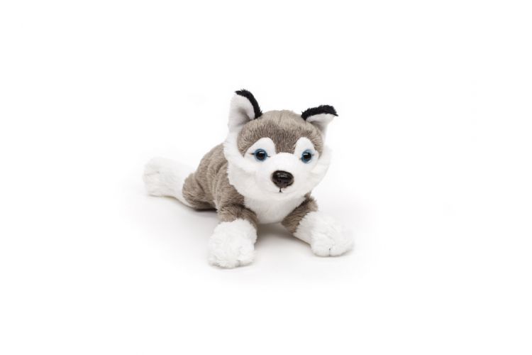 husky bamse