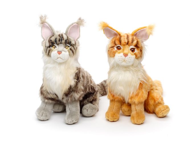 Maine Coon bamse Hovedbillede