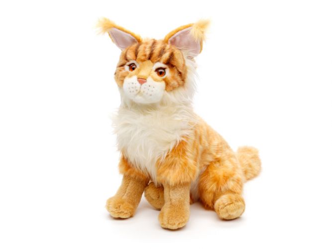 Maine Coon krammebamse