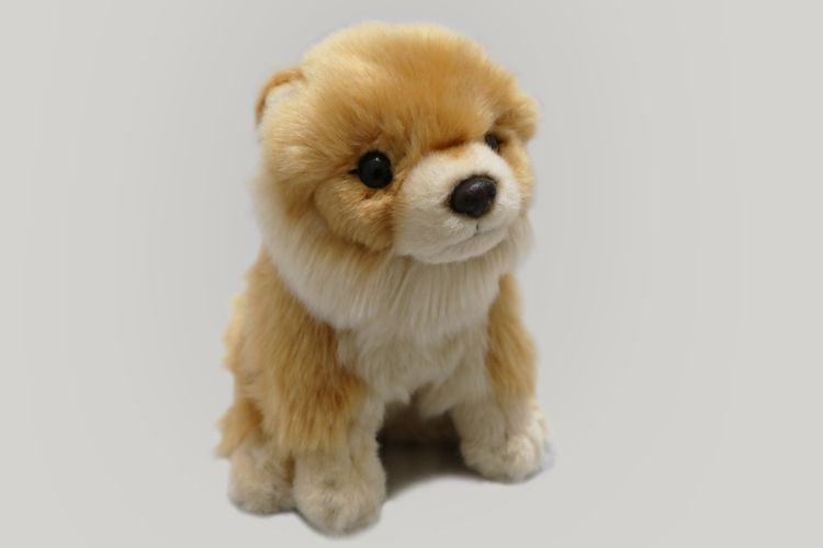 Uni-Toys Pomeranian Hund 18 cm, eco-friendly (N20342)