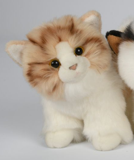 kat bamse Hovedbillede