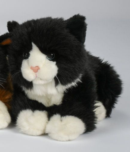 Zwarte kat realistisch pluche speelgoed. Kunstenaar knuffel. realistisch pluche huisdier. knuffelkat - België Zwarte kat realistisch pluche speelgoed. Kunstenaar knuffel. realistisch pluche huisdier. knuffelkat - België