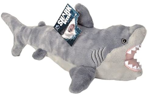 Hvid haj Bamse  Hovedbillede