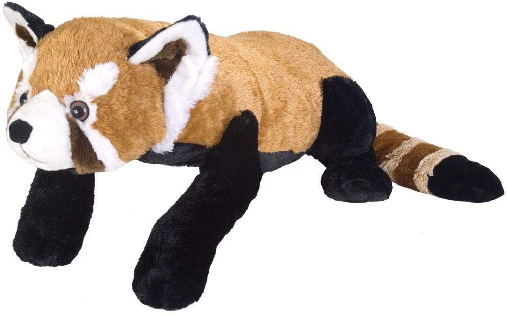 Wild Republic JUMBO Rød Panda Bamse - CK JUMBO Red Panda 60-70 cm (bestillingsvare) Hovedbillede