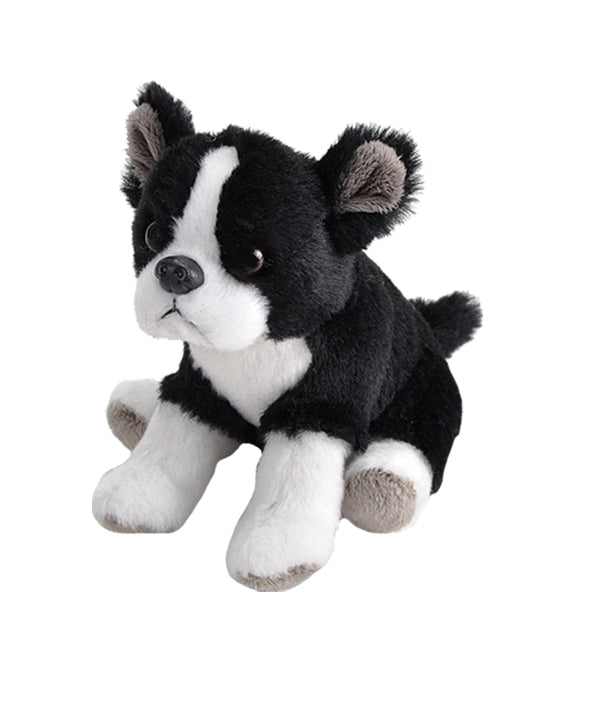 Boston Terrier bamse Hovedbillede