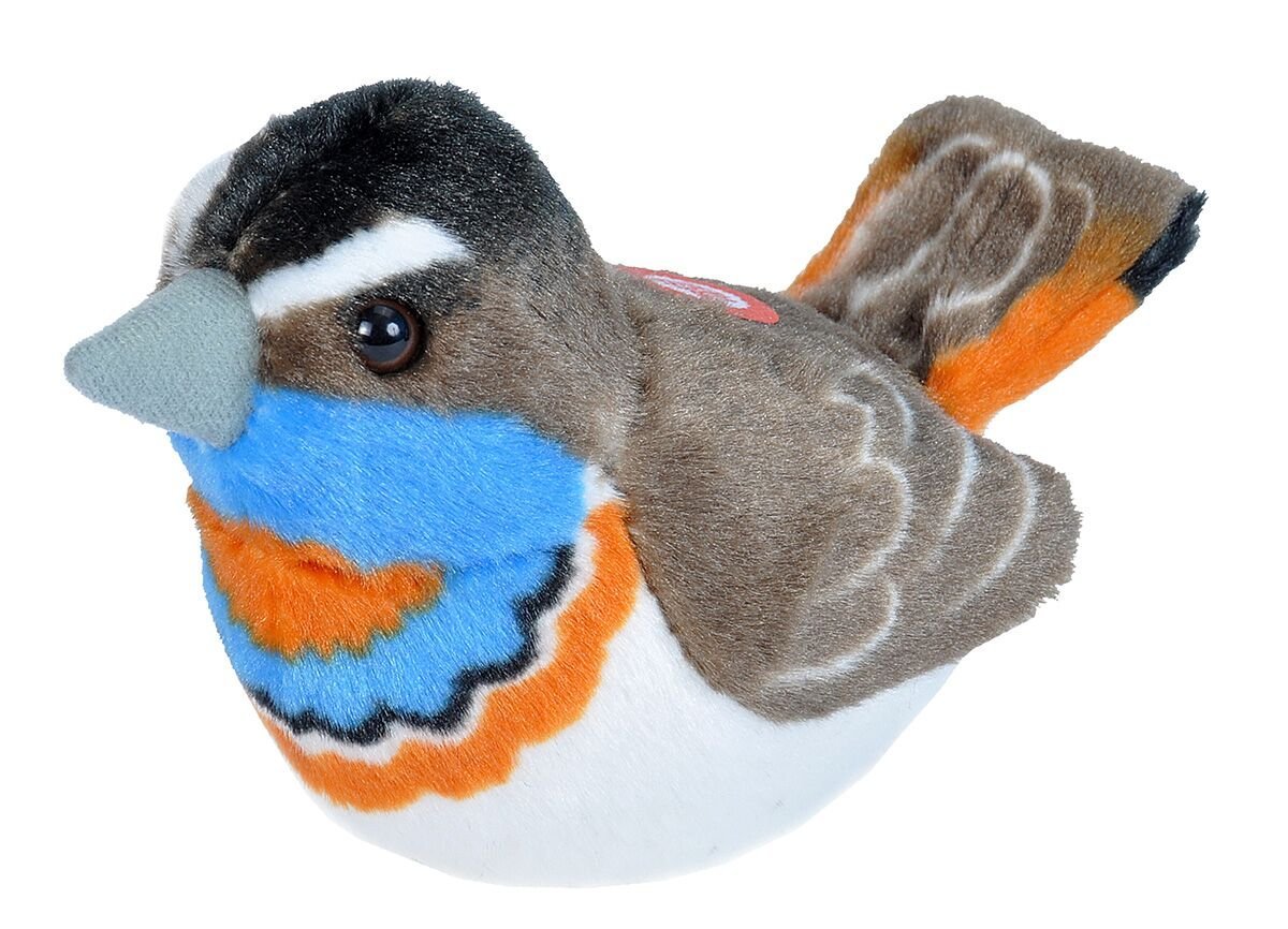 Blåhals bamse Hovedbillede