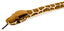 Burmese Python Slange bamse