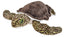 Wild Republic Grøn Havskilpadde Bamse - CK Green Sea Turtle 30 cm