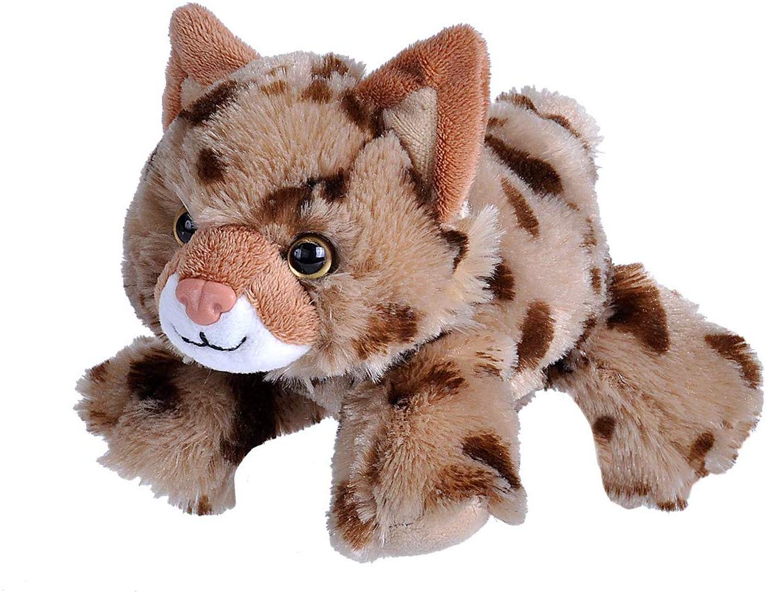 Rødlos bamse