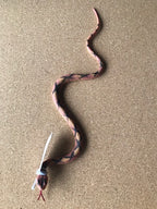 Wild Republic Mini Slanger 30 cm (assorterede farver)