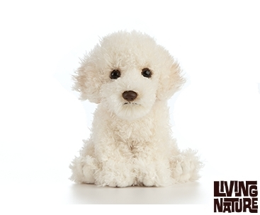 Labradoodle bamse