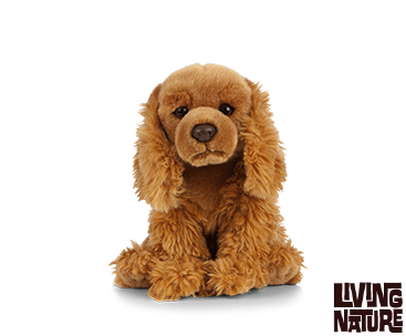 Cocker Spaniel bamse