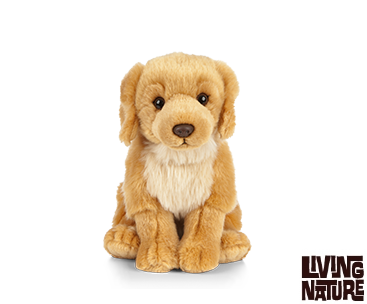 Golden Retriever bamse Hovedbillede