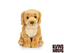 Golden Retriever bamse