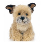 Border Terrier bamse
